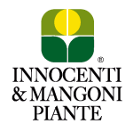 logo innocentimangoni