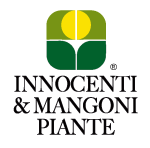 innocentemangoni